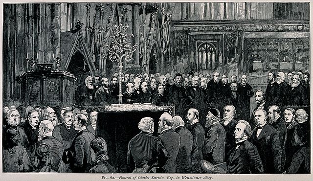 The funeral ceremony of Charles Darwin at Westminster Abbey, 26 April 1882.
