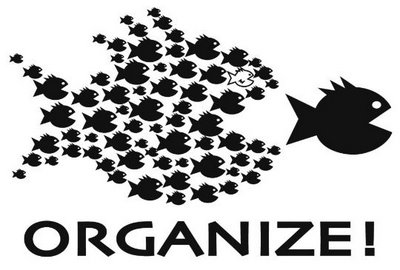 Organize!, school of small fish chasing big fish