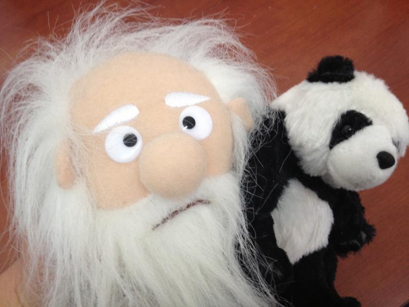 darwin and panda