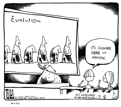 Tom Toles cartoon (2006): Blackboard says Evolution, with alternating apes and humans in a parody of the iconic March of Progress image. A student quips: It's slower here in Kansas.