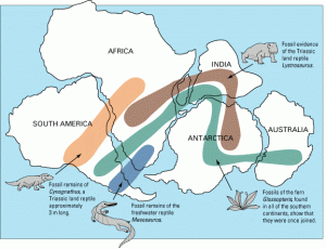 Pangaea and Fossil Distribution: from United States Geological Survey