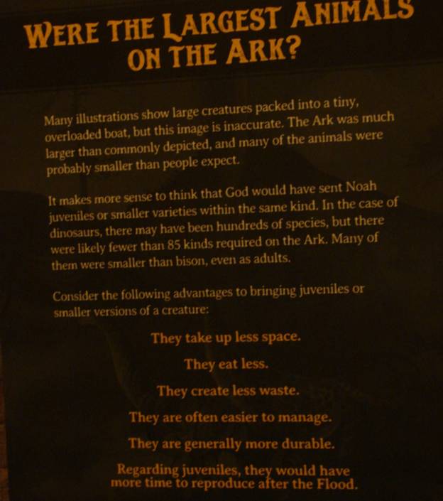 Figure 11. Less than 85 “kinds” of juvenile dinosaurs were allowed on the Ark.