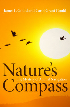 Nature's Compass