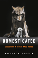 Domesticated cover