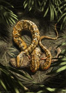 Tetrapodophis amplectus reconstruction. Note tiny visible hand and foot. Copyright Julius T. Csotonyi
