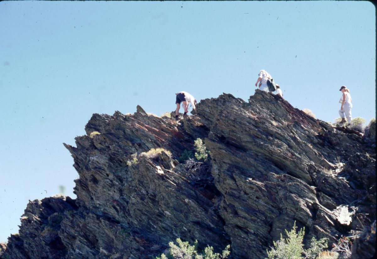 geology students examining the Montenegro Formation, White Mountains, CA