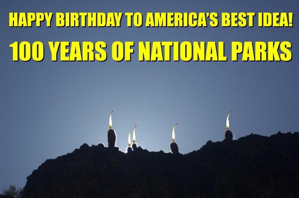 Happy Birthday to the National Parks! Candle flames added to cacti.