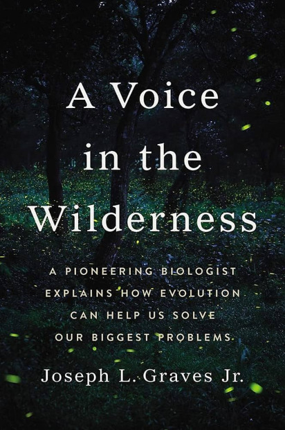 A Voice in the Wilderness book cover.