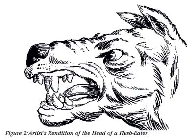 Figure 2: Artist's Rendition of the Head of a Flesh-Eater