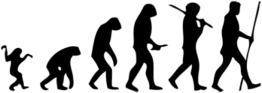 Image result for hUMAN evolution  gif