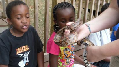 Two children at the Mill Mountain Zoo examining a snake